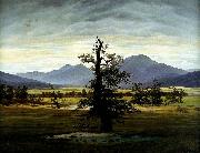 Caspar David Friedrich Village Landscape in Morning Light oil painting